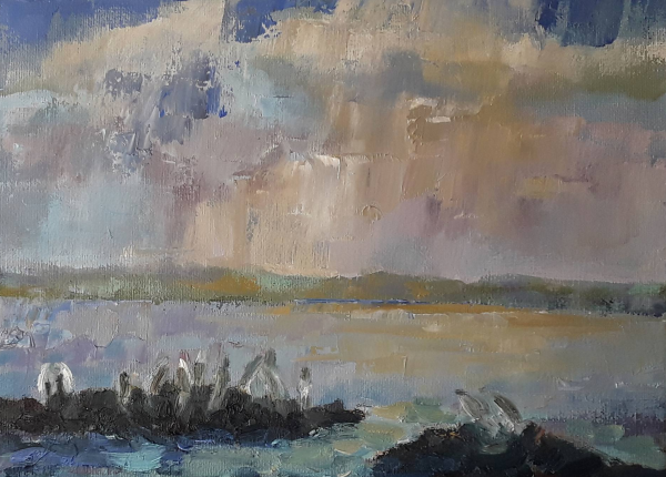 Seagulls Rock Painting Seagulls Rock Painting