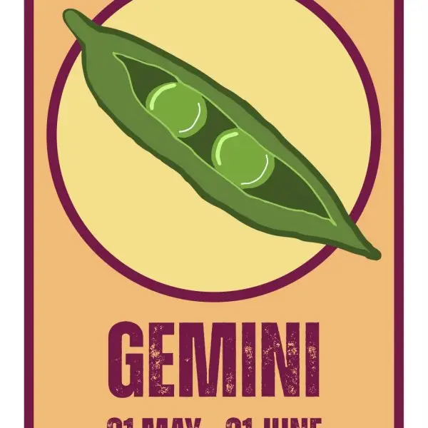Gemini